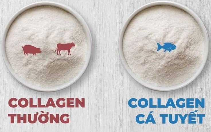 Collagen chiết xuất từ da cá biển sâu có phải là xu hướng dưỡng da khỏe đẹp?