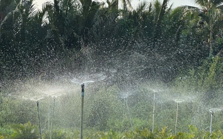 'Sáng rồi, sáng như hòa bình vậy'