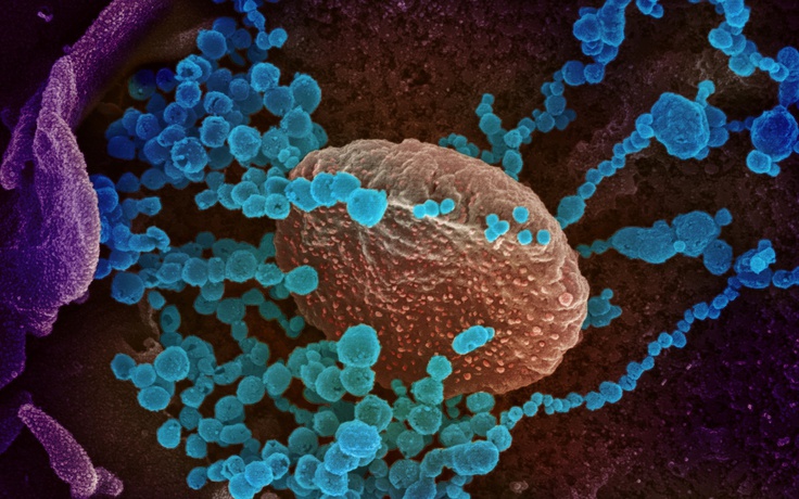 Sau 3 năm thảo luận, WHO đạt bước tiến lớn trong phối hợp ứng phó đại dịch