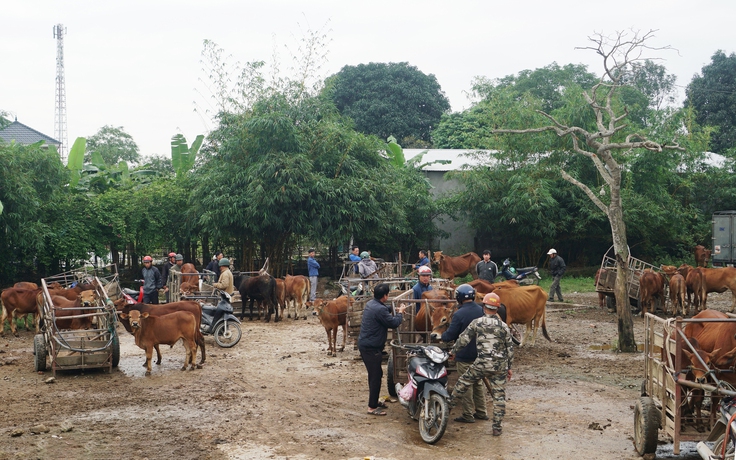 Độc đáo phiên chợ trả giá bằng 'mật ngữ', đập tay chốt giá Độc đáo phiên chợ trả giá bằng 'mật ngữ', đập tay chốt giá