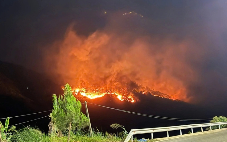 Quảng Ninh: Hơn 600 người xuyên đêm chữa cháy rừng