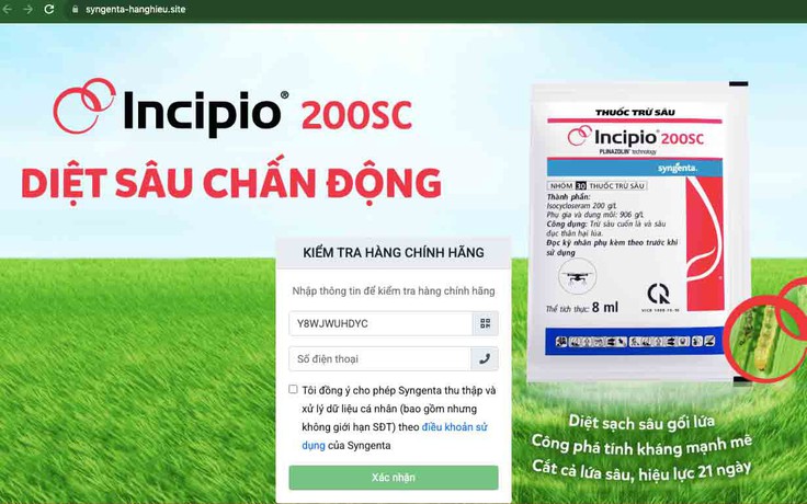 Lừa đảo qua mạng nhắm vào người thất nghiệp