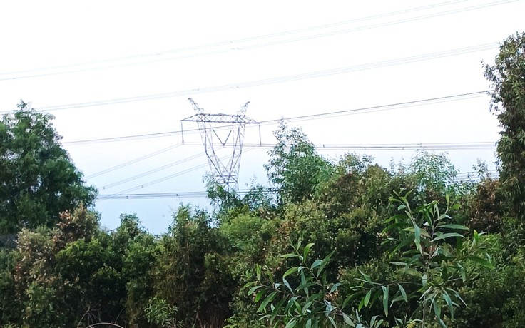 Cảm ơn những người thợ điện 500kV ở Đức Hòa ngày ấy