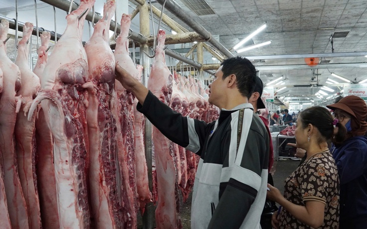 Giá heo hơi hôm nay 17.4.2025: 'Thủ phủ' chăn nuôi lên mức cao nhất