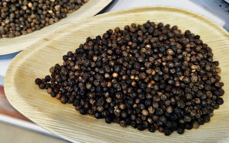 Trung Quốc tăng mua, giá hạt tiêu tăng cao