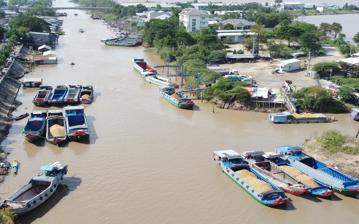 Nhập khẩu 8,2 triệu tấn lúa để đáp ứng nhu cầu xuất khẩu gạo