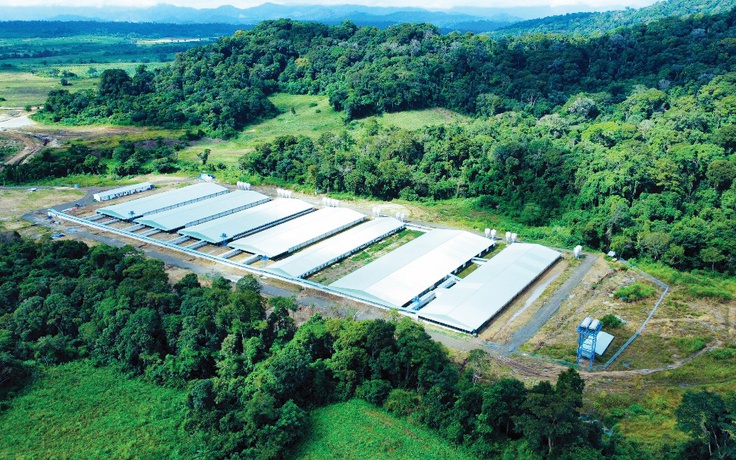 Mavin được vinh danh Top 10 doanh nghiệp ESG Việt Nam Xanh 2025