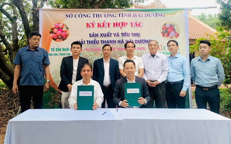 Menas Group nâng tầm đặc sản vải thiều Thanh Hà trên thị trường cao cấp