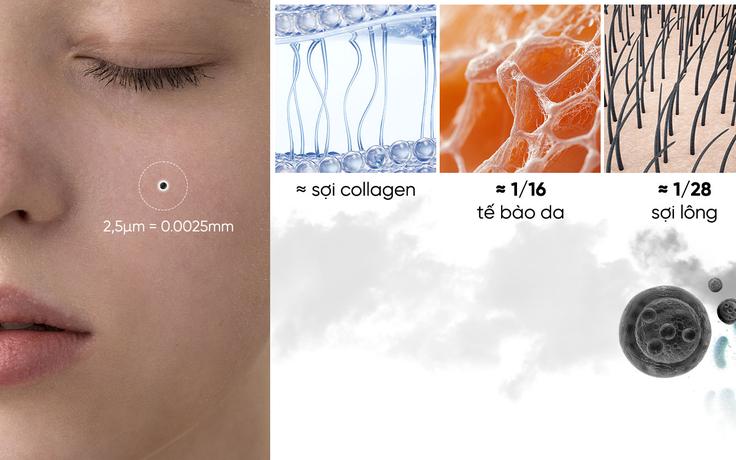 Da bị stress vì ô nhiễm không khí - cần phục hồi như thế nào?