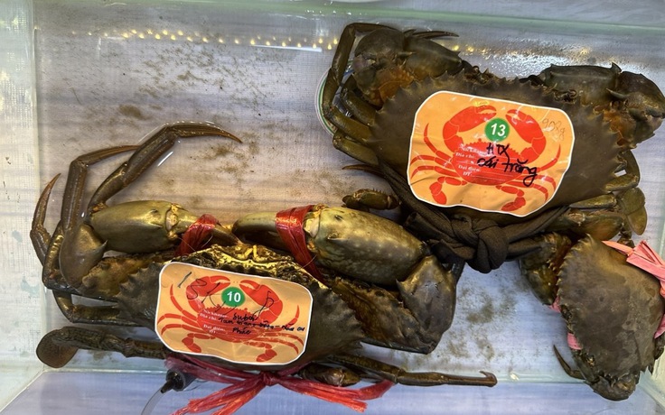 Kỷ lục chờ được xác lập tại Ngày hội cua Cà Mau lần 2