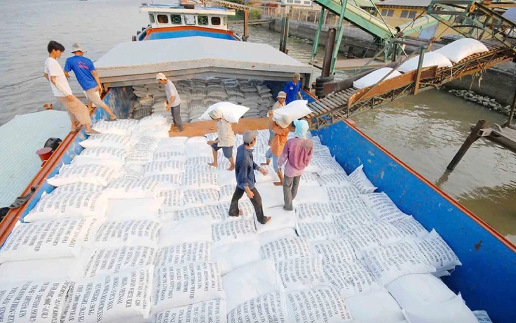 Việt Nam có thể là nhà nhập khẩu gạo lớn thứ 2 thế giới