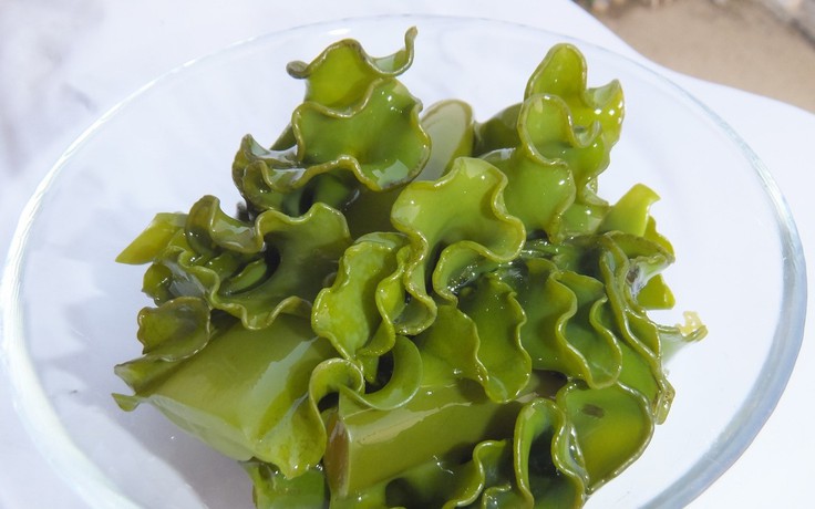 Tảo nâu Mekabu - 'kho báu' thiên nhiên cho sức khỏe