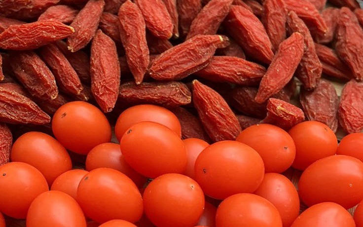 Tác dụng ngăn ngừa ung thư bất ngờ của kỷ tử