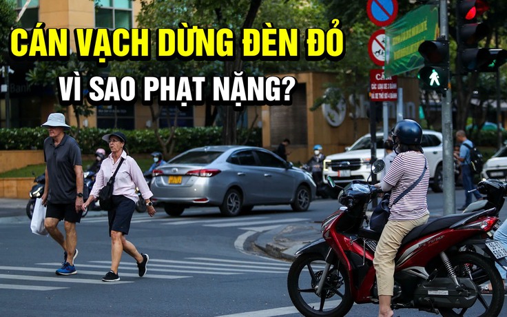 Lỡ dừng đèn đỏ cán vạch, tài xế vội lùi lại vì sợ bị phạt nặng như vượt đèn đỏ