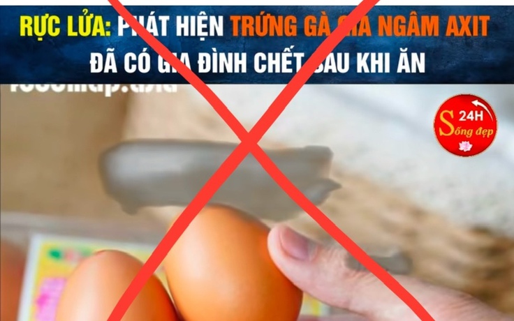 Tin đồn trứng gà giả khiến người chăn nuôi điêu đứng
