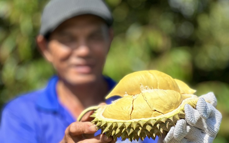 EU đến Việt Nam thanh tra sầu riêng, thanh long, ớt