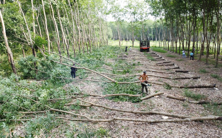Vì sao chủ đầu tư đánh trượt thầu Tập đoàn Sơn Hải?
