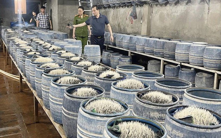 348 tấn giá đỗ ngâm hóa chất độc hại đã bán ra thị trường