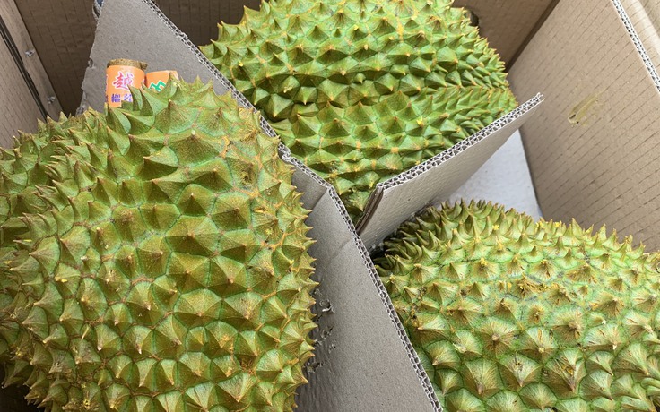 Trung Quốc phối hợp gỡ khó xuất khẩu sầu riêng Việt Nam