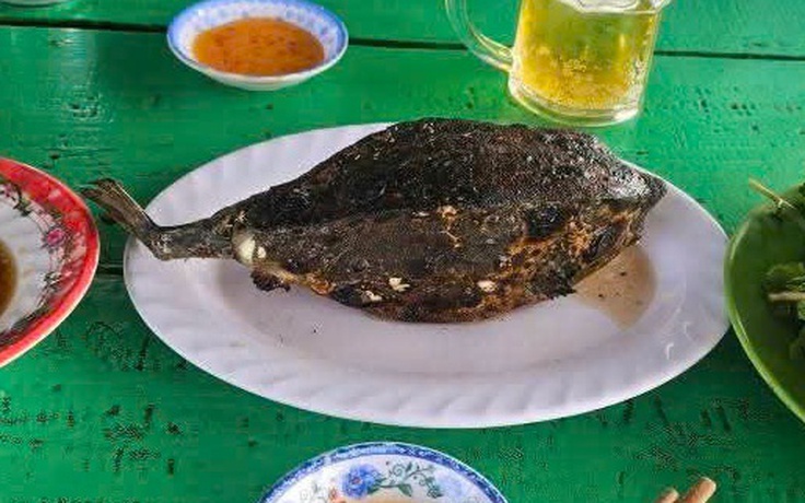 Chủ tịch tỉnh Khánh Hòa chỉ đạo ‘nóng’ vụ bán cá bò hòm 3,5 triệu đồng/kg