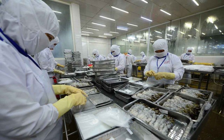 Xuất khẩu tôm, cá tăng mạnh ở Trung Quốc, Nhật, EU