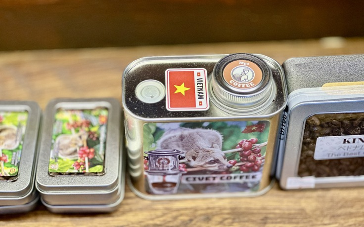 Giá cà phê cao kỷ lục, mỗi tháng Việt Nam thu về 1 tỉ USD