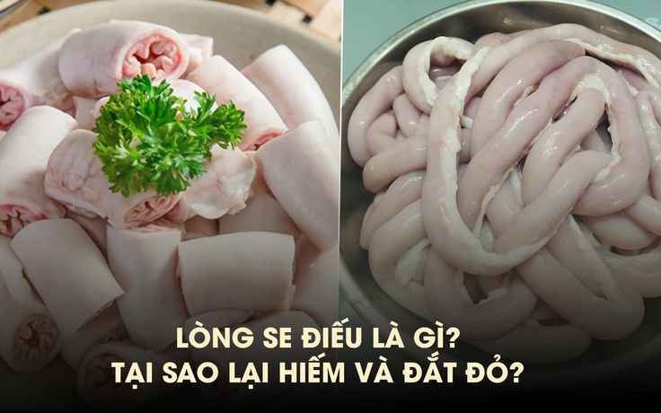 Lòng se điếu là gì, tại sao lại hiếm và đắt đỏ?