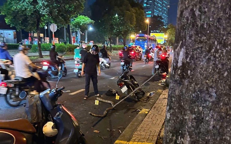 TP.HCM: Gãy nhánh cây cổ thụ làm một bé trai bị thương nặng