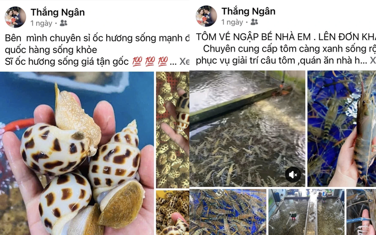 Cặp vợ chồng ở TP.HCM lừa bán hải sản cho hàng trăm người, chiếm đoạt 300 triệu
