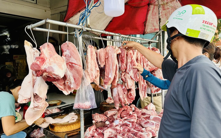 Giá heo hơi hôm nay 14.6.2025: Vùng đỉnh hạ nhiệt