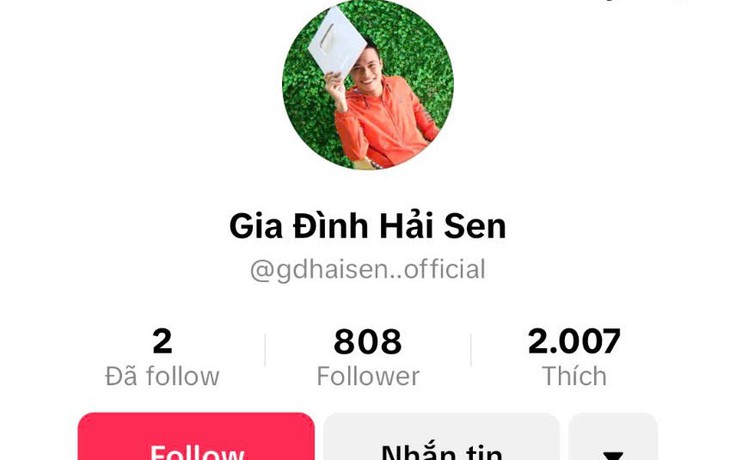 Bắt TikToker 'Gia đình Hải Sen'