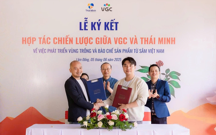 Sâm Thái Minh ‘bắt tay’ VGC: Chiến lược mở rộng vùng trồng bằng công nghệ Hàn Quốc
