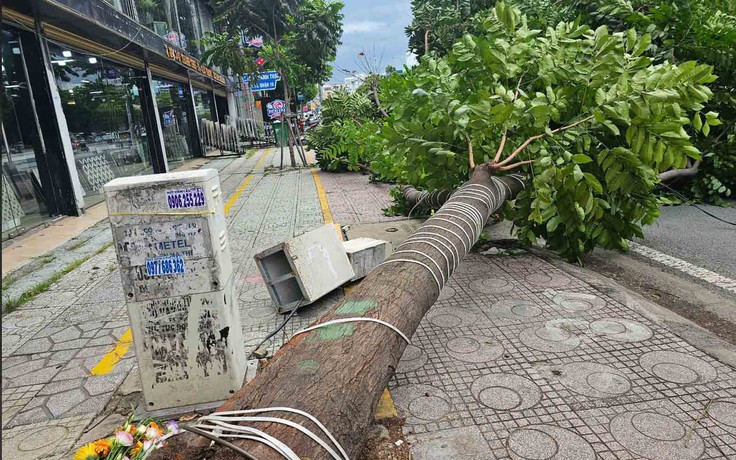 Không nên đổ lỗi hoàn toàn cho 'sự kiện bất khả kháng'