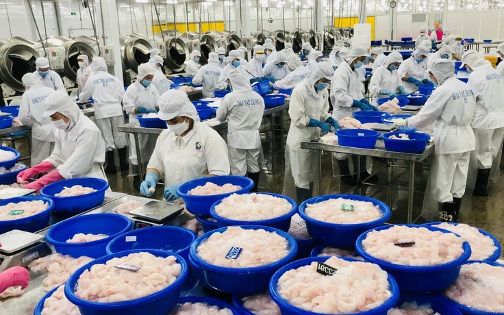 Mỹ áp thuế 0% với nhiều doanh nghiệp xuất khẩu cá tra Việt Nam