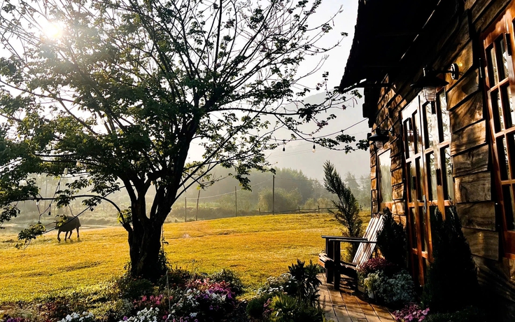 Một khu vườn thơ mộng, ngập tràn hoa lá khiến ai ghé thăm cũng phải trầm trồ