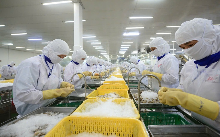 Nhà đầu tư Mỹ 'lạc quan thận trọng' về triển vọng kinh tế nửa cuối năm
