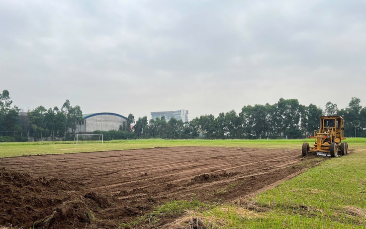 HLV Tây Ban Nha và Ninh Bình FC sắp được ‘tung hoành’ trên mặt sân cực đẹp