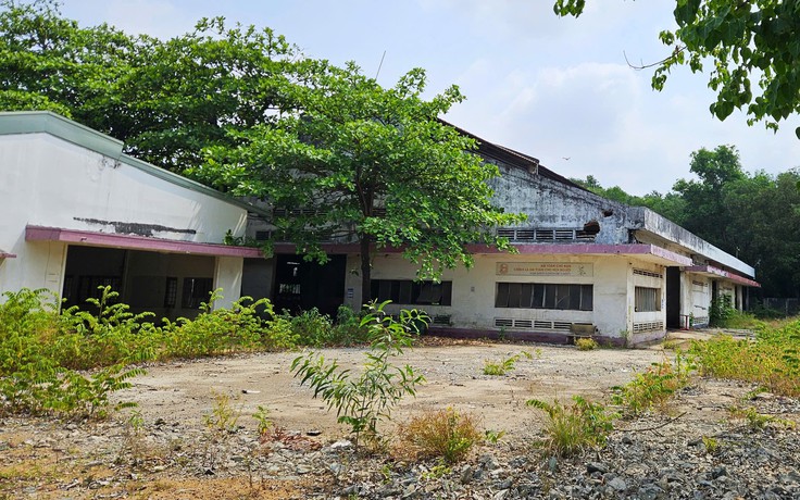 Doanh nghiệp ở TP.HCM tự nguyện trả lại khu 'đất vàng' hơn 11.000 m2