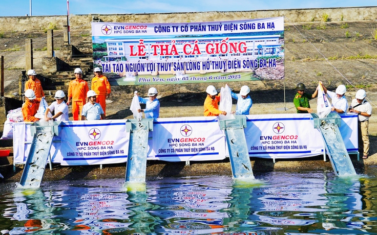 Thả cá giống tái tạo nguồn lợi thủy sản ở lòng hồ Sông Ba Hạ