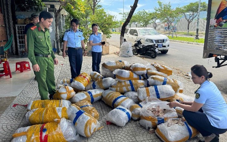 Đà Nẵng: Tạm giữ 700 kg mực khô bốc mùi, vô chủ tại âu thuyền Thọ Quang
