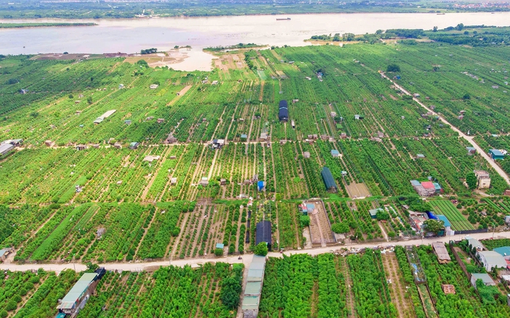 Hà Nội cho phép khai thác đất bãi sông làm nông nghiệp kết hợp du lịch