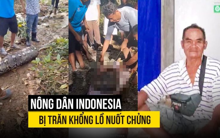 Trăn khổng lồ nuốt chửng nông dân Indonesia