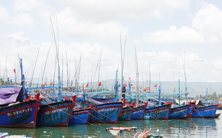 Chống khai thác IUU, Gia Lai buộc 650 tàu cá nằm bờ