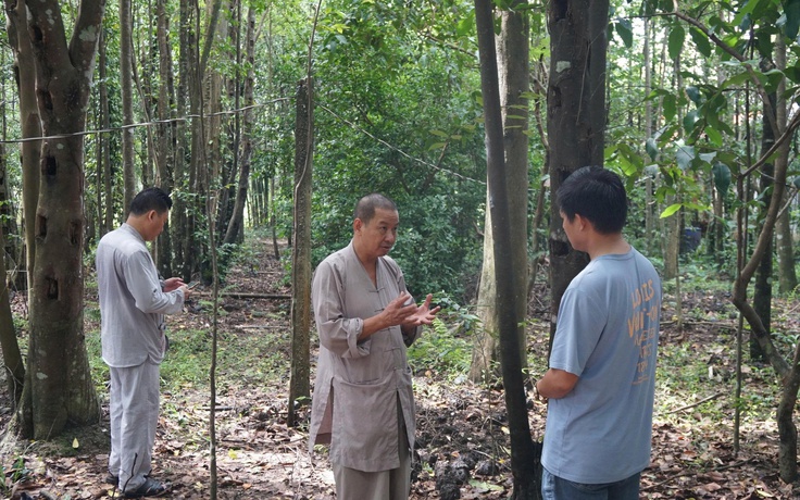 Khát vọng trầm hương của 'nhà sư Thị Kính': Bảo mẫu dó bầu ngậm ngải tìm trầm