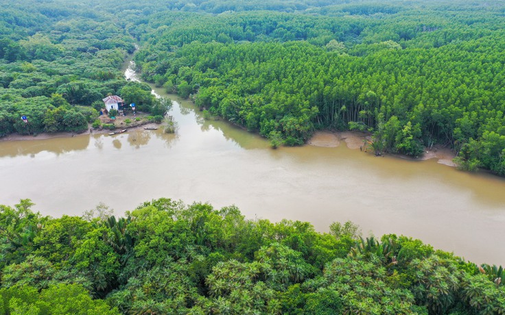 'Cởi trói' mua bán tín chỉ carbon rừng