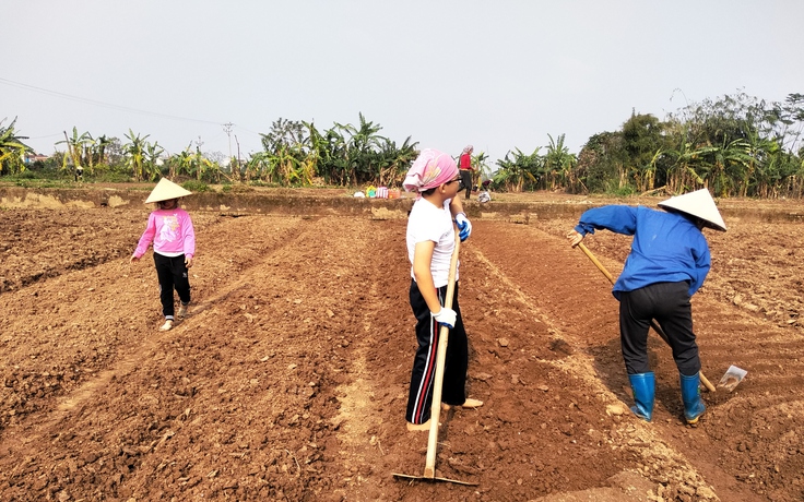 Khi mẹ chồng tôi là tấm gương tiết kiệm điện