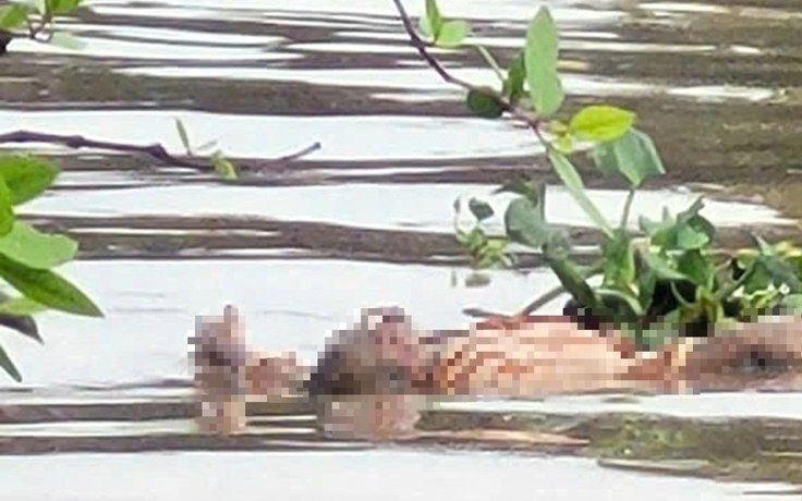 Phát hiện thi thể nam giới trên sông Long Hồ