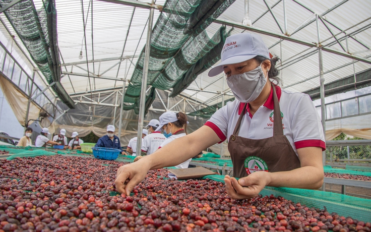 Hai ngành tỉ USD kiến nghị bỏ thuế VAT