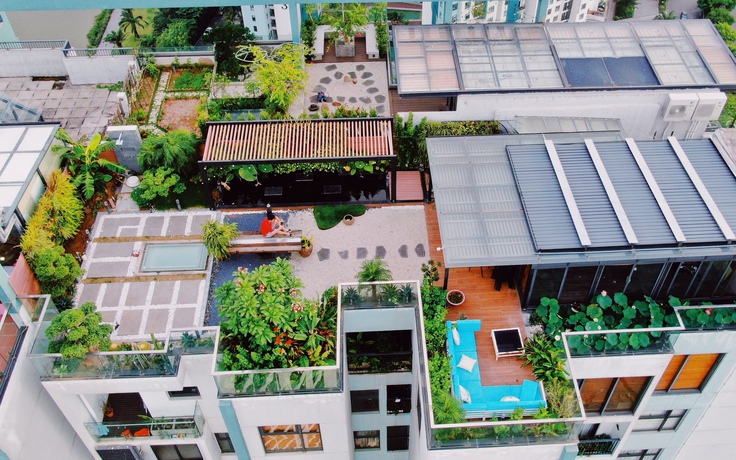 Chi tiền tỉ để trồng rau, nuôi cá trên sân thượng ở tầng 30