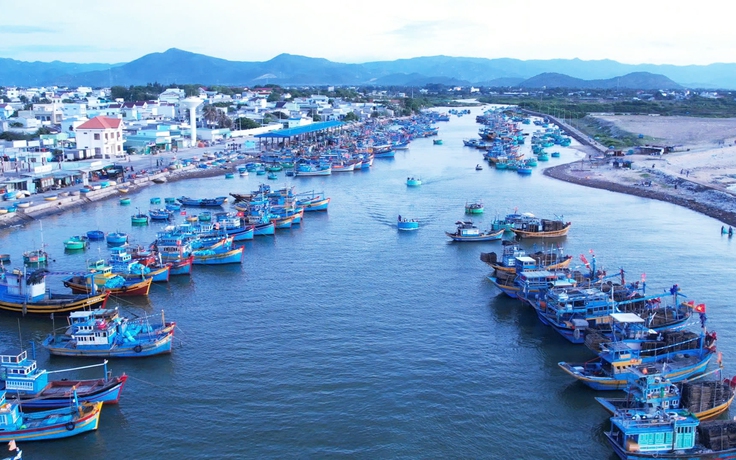 'Hồn biển' bên sông Cà Ty